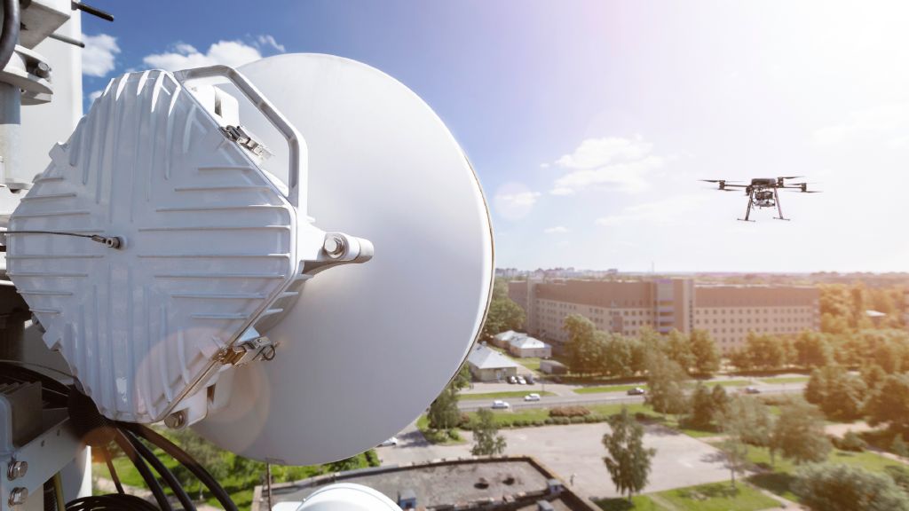 aerial interference hunting